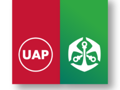 Reinsurance Officer Job Opportunity at UAP Insurance