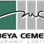 Mbeya Cement Company Limited Internships