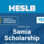 Samia Scholarship Eligibility 2024