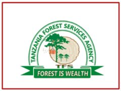 109 Job opportunities at Tanzania forest services Agency, 2024