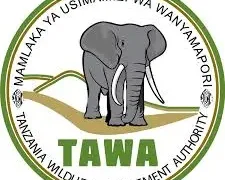 TAWA, 351 Vacancies – September 2024