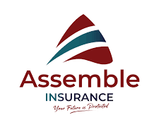 New Vacancy At Assemble Insurance Tanzania, 2024