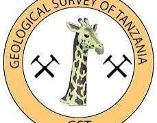 Job opportunities at Geological Survey Of Tanzania (GST)