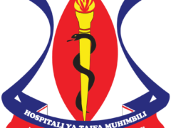 89 Job vacancies at Muhimbili National Hospital