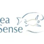 New Vacancy At Sea Sense, 2024