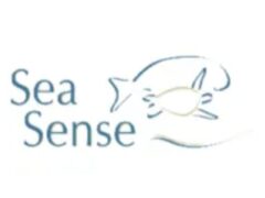 New Vacancy At Sea Sense, 2024