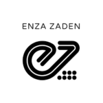 New Vacancy At Enza Zaden Africa Ltd