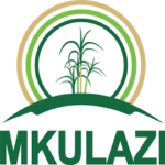 New Vacancy At Mkulazi Holding Company Limited 2024