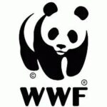 New Internships At WWF Tanzania