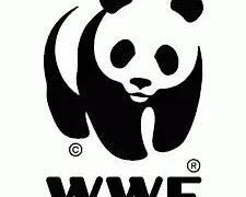 New Internships At WWF Tanzania