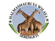 Job vacancies at Serengeti District Council