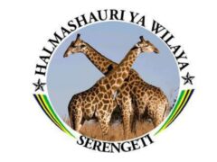 Job vacancies at Serengeti District Council, December 2024