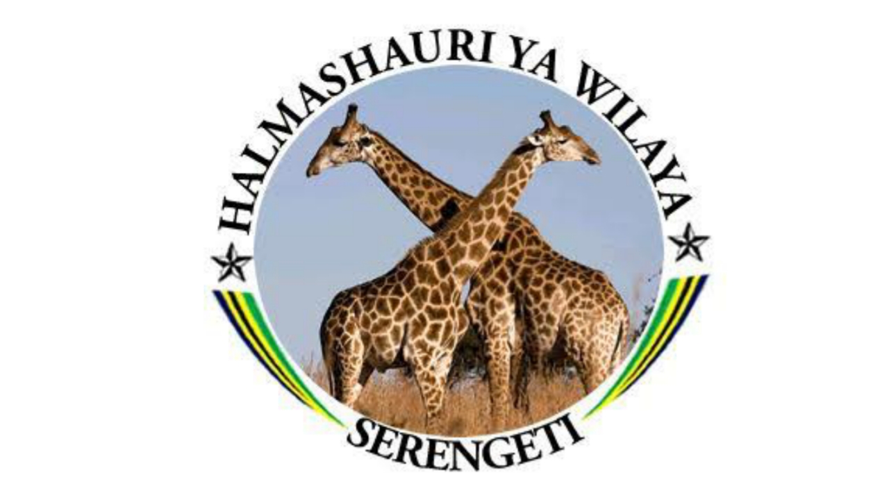 Job vacancies at Serengeti District Council, December 2024