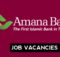 Job opportunities at Amana Bank