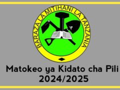 Matokeo ya Kidato cha Pili 2024 2025 – NECTA Form two