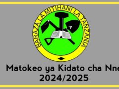 Matokeo ya Kidato cha Nne 2024/2025 – NECTA Form four Results