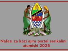 Nafasi za kazi ajira portal serikalini na utumishi 2025