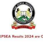 KPSEA Results 2024 Check here – KNEC Portal