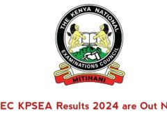 KPSEA Results 2024 Check here – KNEC Portal