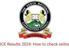 How to Check KCSE Results 2024 Online