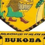 Msaidizi Maendeleo ya Jamii Daraja la II Job at Bukoba District council, January 2025