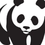 Job vacancies at WWF Tanzania, January 2025