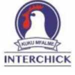 Job vacancies at Interchick, January 2025