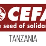 Job vacancies at CEFA, January 2025