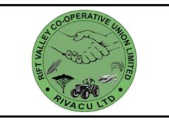 Job vacancies at RIVACU LTD, January 2025