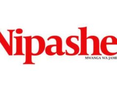 Job vacancies at Nipashe Tanzania, January 2025