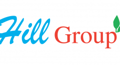 Job vacancies at Hill Group, January 2025