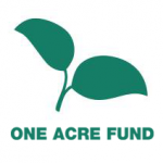 Job vacancies at Acre Fund, January 2025