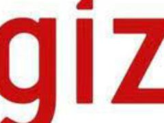 Job vacancies at GIZ, February 2025