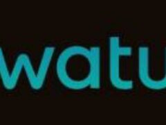 Job vacancies at WATU Credit, February 2025