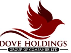 Job vacancies at Dove Holdings Group LTD, February 2025