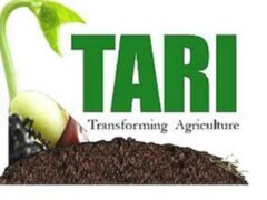 Job vacancies at TARI, February 2025