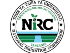 Job vacancies at NIC, February 2025