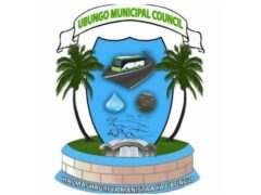 50 Job vacancies at Ubungo Municipal Council, February 2025