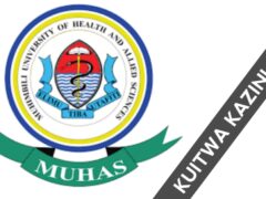 Call for work (placement) at MUHAS, February 2025