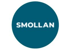 Job vacancies at Smollan, February 2025