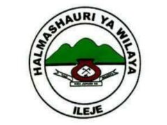 Job vacancies at Ileje District council, February 2025