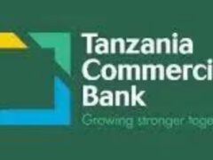 Job vacancies at TCB Bank, March 2025