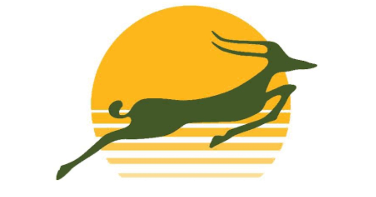 Job vacancies at Precision Air April 2025