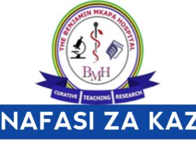 Job vacancies at Benjamin Mkapa Hospital