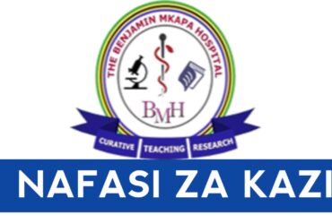Job vacancies at Benjamin Mkapa Hospital
