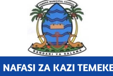 Job vacancies at Temeke District Council
