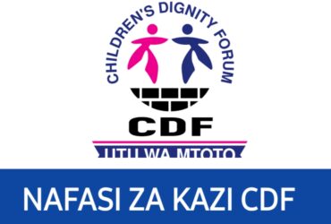 Job vacancies at Childrens Dignity Forum (CDF)