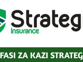 Job vacancies at Strategis Insurance Tanzania ltd