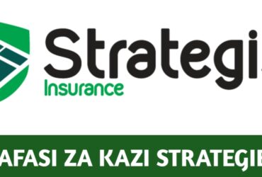 Job vacancies at Strategis Insurance Tanzania ltd