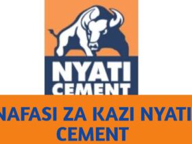 Job vacancies lake cement